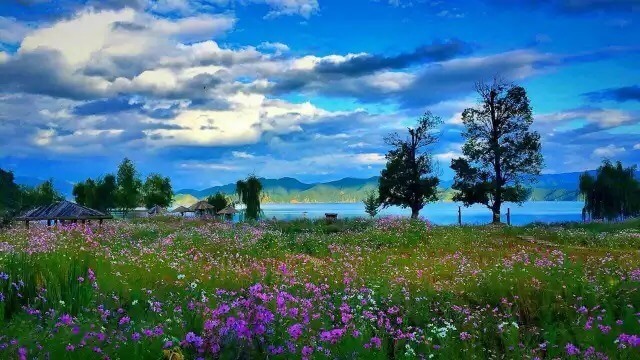 93cf4ab5a2dee1467f03ae584eef3476 (1).jpg